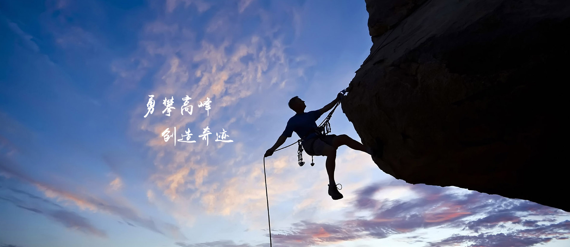 异辛酸厂家